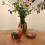 Historisches Fachwerkhaus Am Rheinsteig - 엉컬